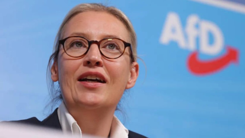 ალის ვაინდელი