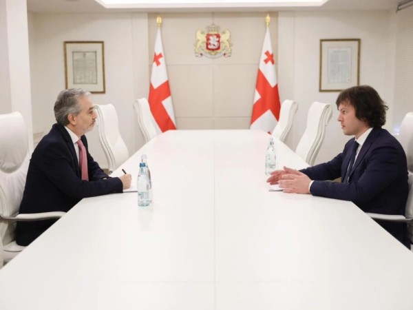 ირაკლი კობახიძე ისრაელის ელჩს შეხვდა