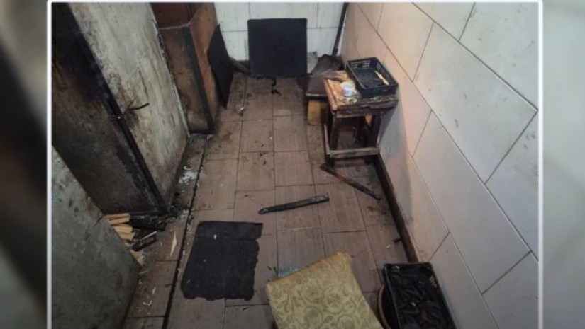 თევზის შესაბოლი საწარმო