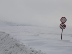 გუდაური-კობი
