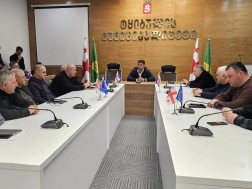 ტყიბულის მერი