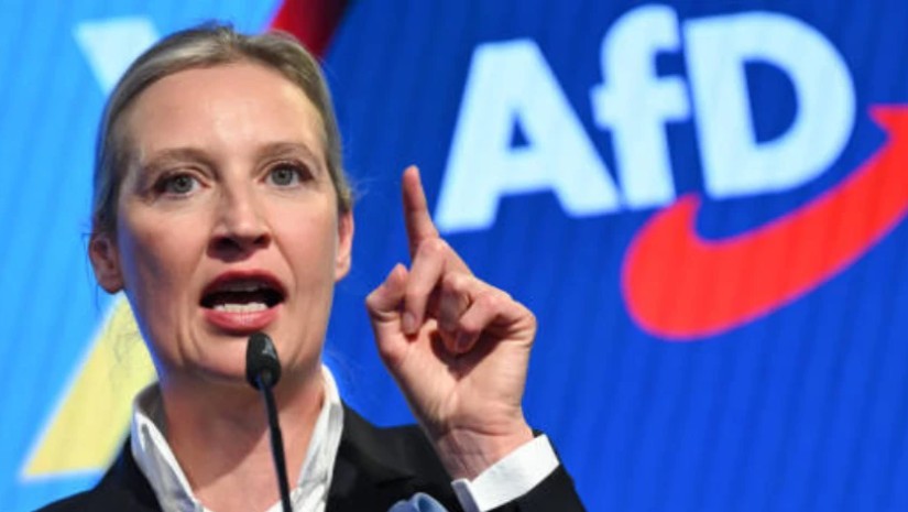 ალის ვაიდელი