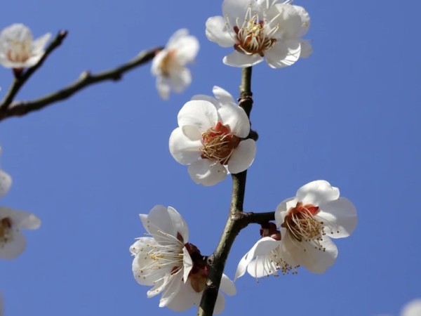 ამინდი ამინდი