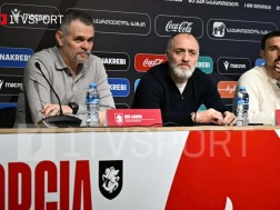 ვილი სანიოლი