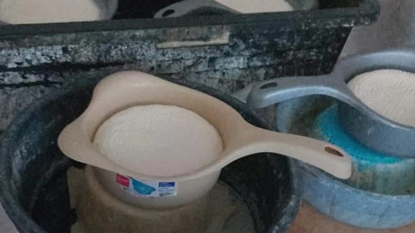 სურსათის ეროვნული სააგენტო