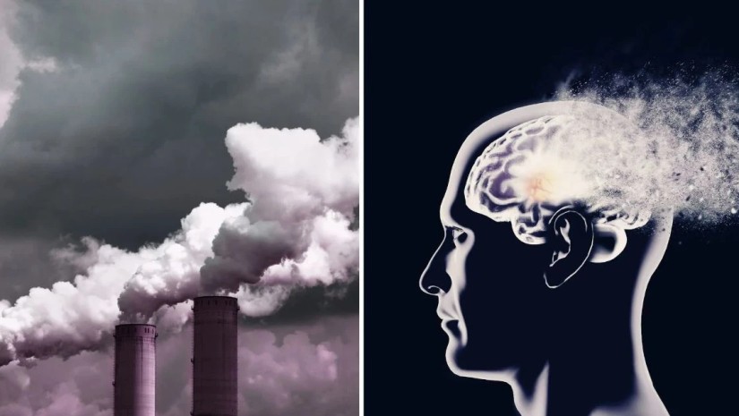 ჰაერის დაბინძურება და ალცჰაიმერი
