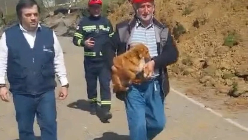 ცხოველები