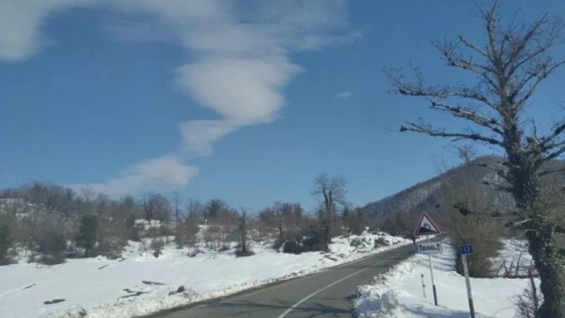 ნიჩბისი