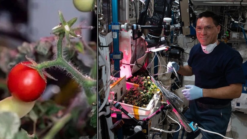 ასტრონავტები