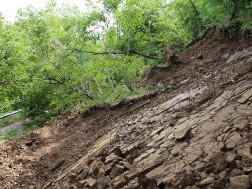 ქვისცვენა