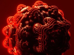 ბაქტერია