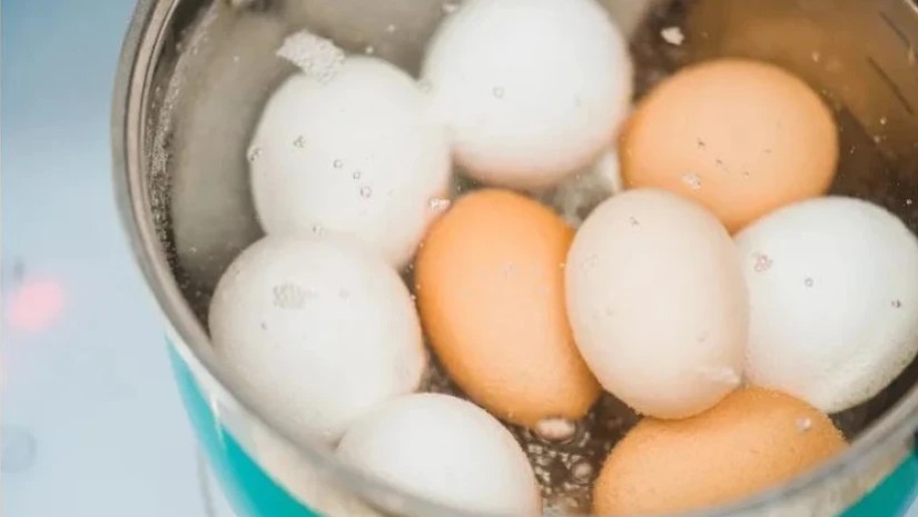 კვერცხის ნაჭუჭი