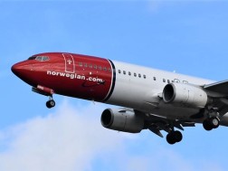 ფრენა ფრენა