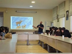 სააგენტო სააგენტო