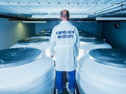 კაფსულა