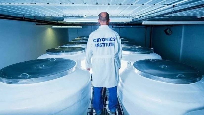 კაფსულა