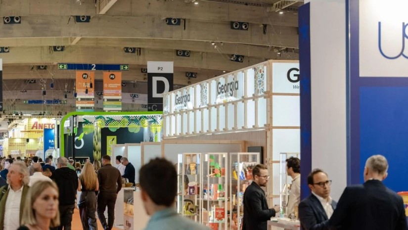 ალიმენტარი