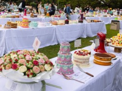 ტორტების პიკნიკი ტორტების პიკნიკი