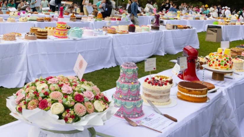 ტორტების პიკნიკი