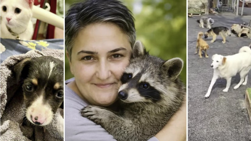  ინგა (ნინო) ყა­ვე­ლაშ­ვი­ლი 