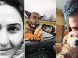 ნინო ყაველაშვილი