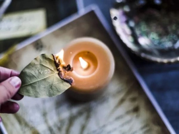 დაფნის ფოთოლი