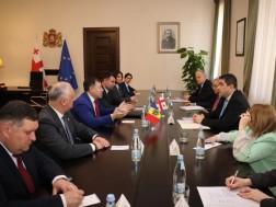 პაპუაშვილი მოლდოვას საპარლამენტო დელეგაციას შეხვდა