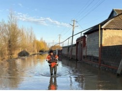 ბსჰს ბსჰს