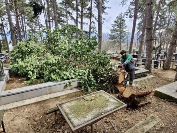 სასაფლაოებსა და მიმდებარე ტერიტორიებს აწესრიგებს