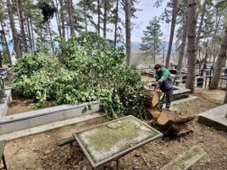 სასაფლაოებსა და მიმდებარე ტერიტორიებს აწესრიგებს სასაფლაოებსა და მიმდებარე ტერიტორიებს აწესრიგებს