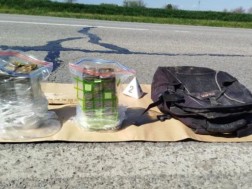 სერბეთი სერბეთი