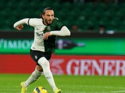 ქოჩორაშვილი ქოჩორაშვილი