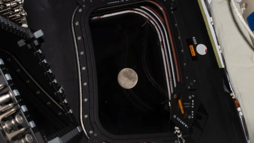 არტემისი