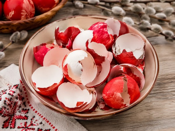 კვერცხი