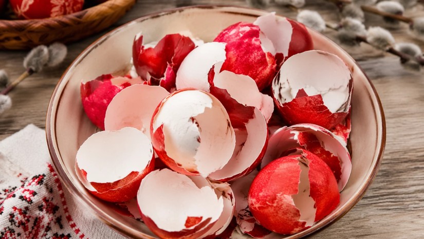 კვერცხი