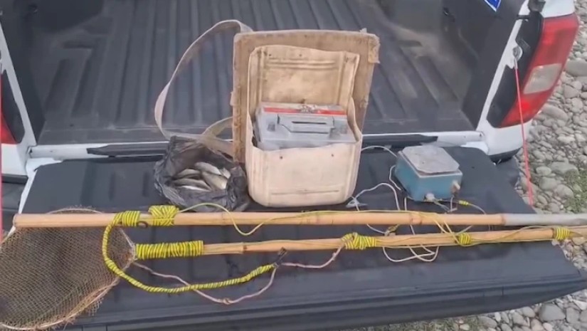 ბრაკონიერობა