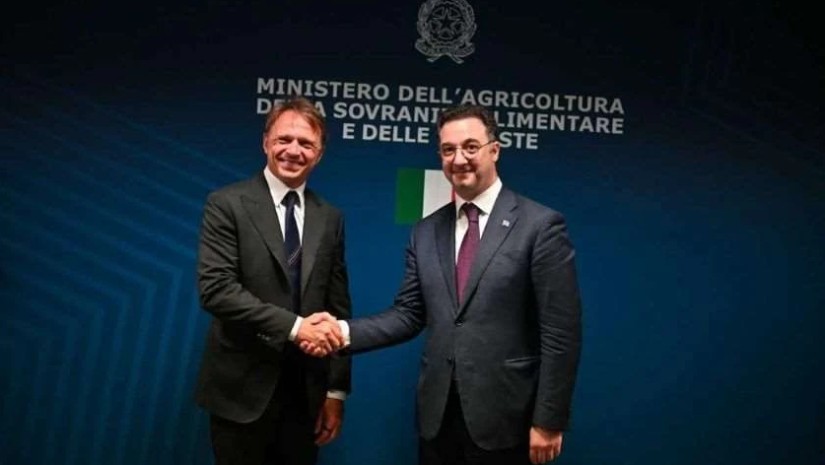 დავით სონღულაშვილი