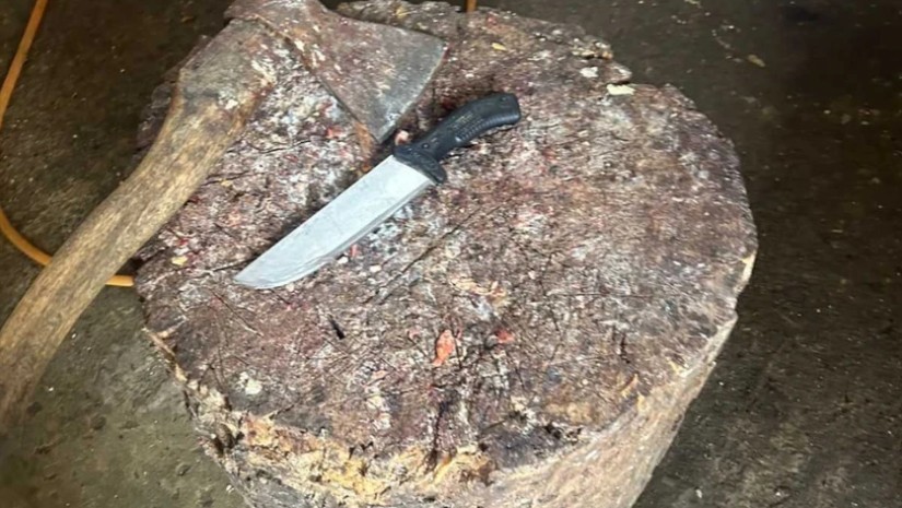 სასაკლაოს გვერდის ავლით საქონლის დაკვლის ფაქტი გამოვლინდა