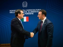 დავით სონღულაშვილი