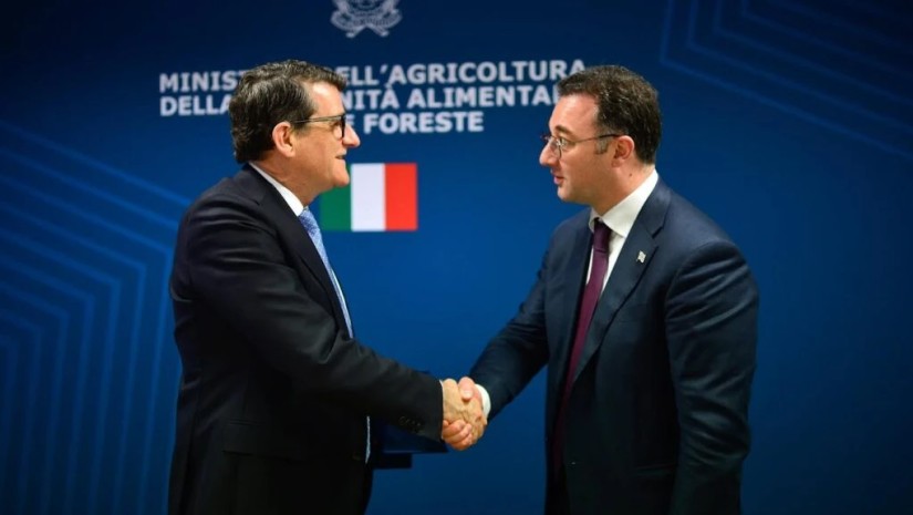 დავით სონღულაშვილი