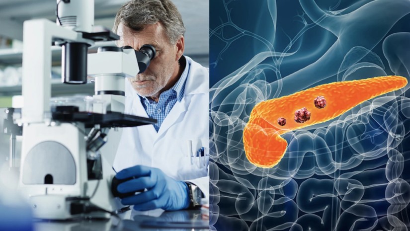 მეცნიერები