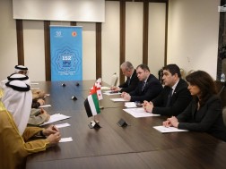 შალვა პაპუაშვილი