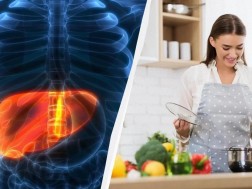 კვება კვება