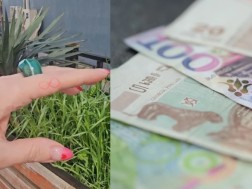 ფულის მოზიდვა