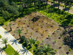 ბულვარი