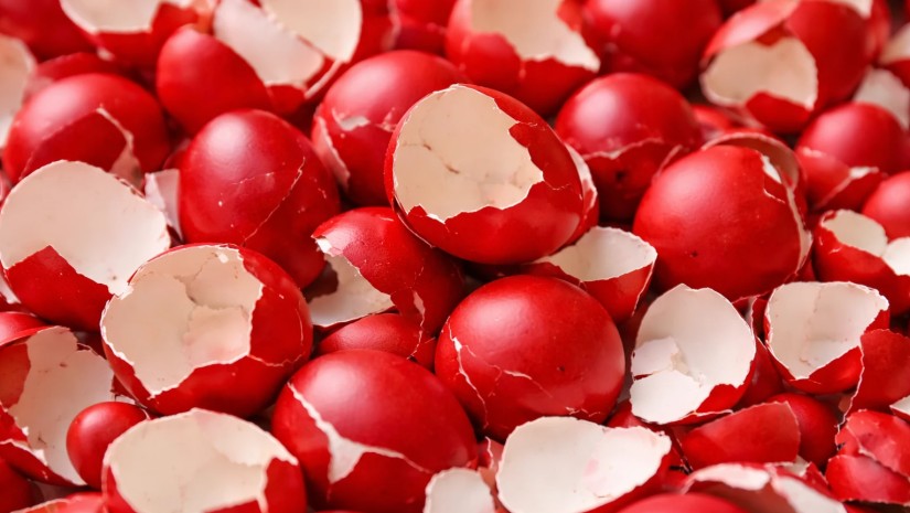 კვერცხის ნაჭუჭი