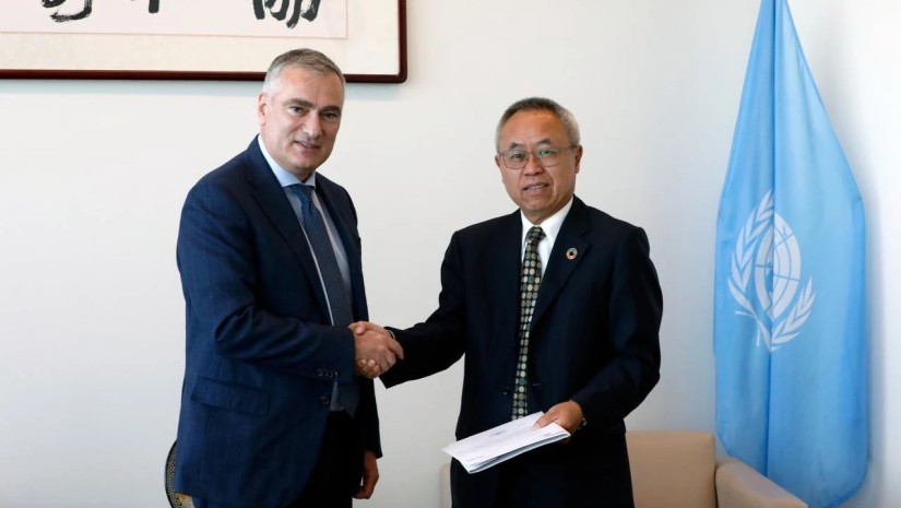 პაატა სალია