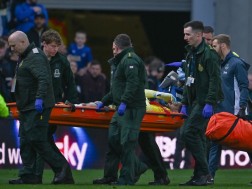 მამარდა