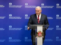 მიხეილ სარჯველაძე