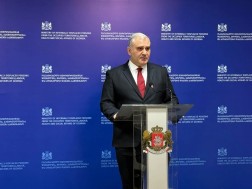 მიხეილ სარჯველაძე